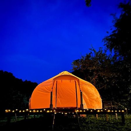 Flore's Garden Glamping Hotell Bran  Exteriör bild