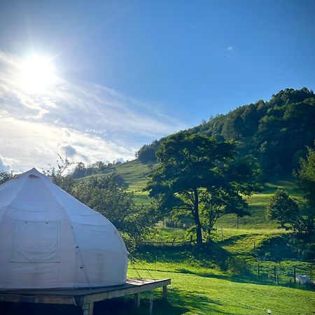 Flore's Garden Glamping Hotell Bran  Exteriör bild