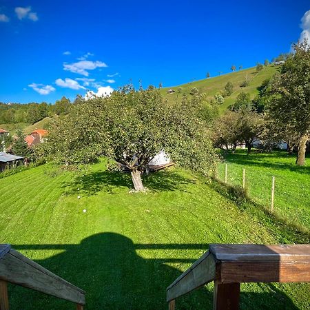Flore's Garden Glamping Hotell Bran  Exteriör bild