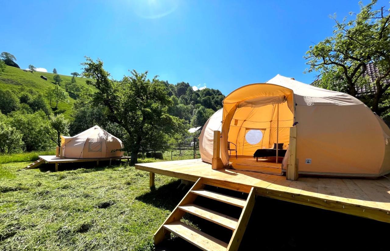 Flore's Garden Glamping Hotell Bran  Exteriör bild
