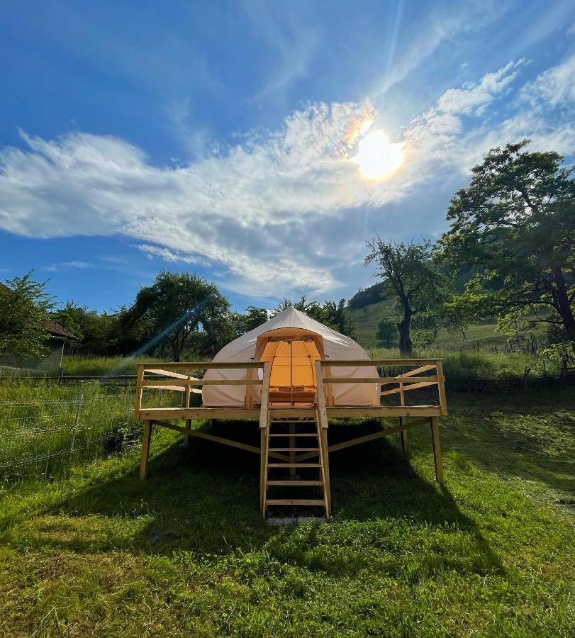 Flore's Garden Glamping Hotell Bran  Exteriör bild