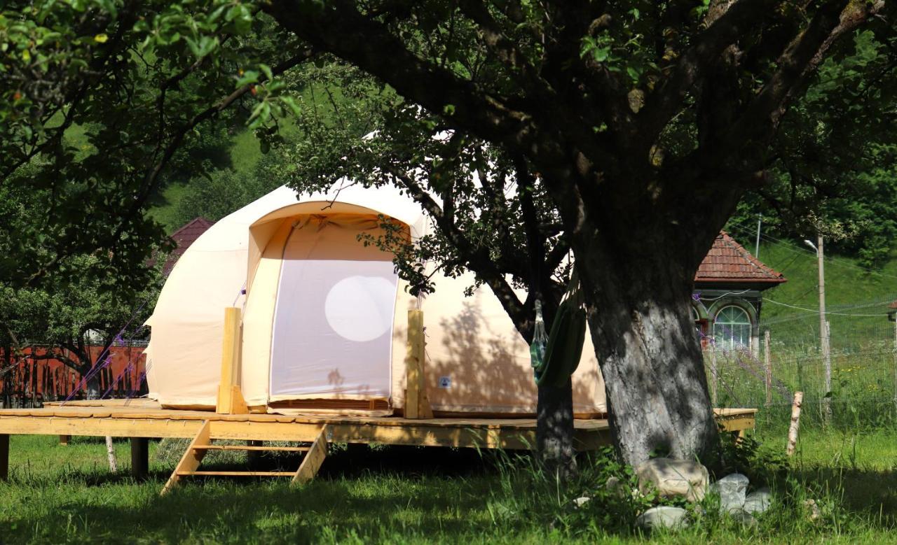 Flore's Garden Glamping Hotell Bran  Exteriör bild