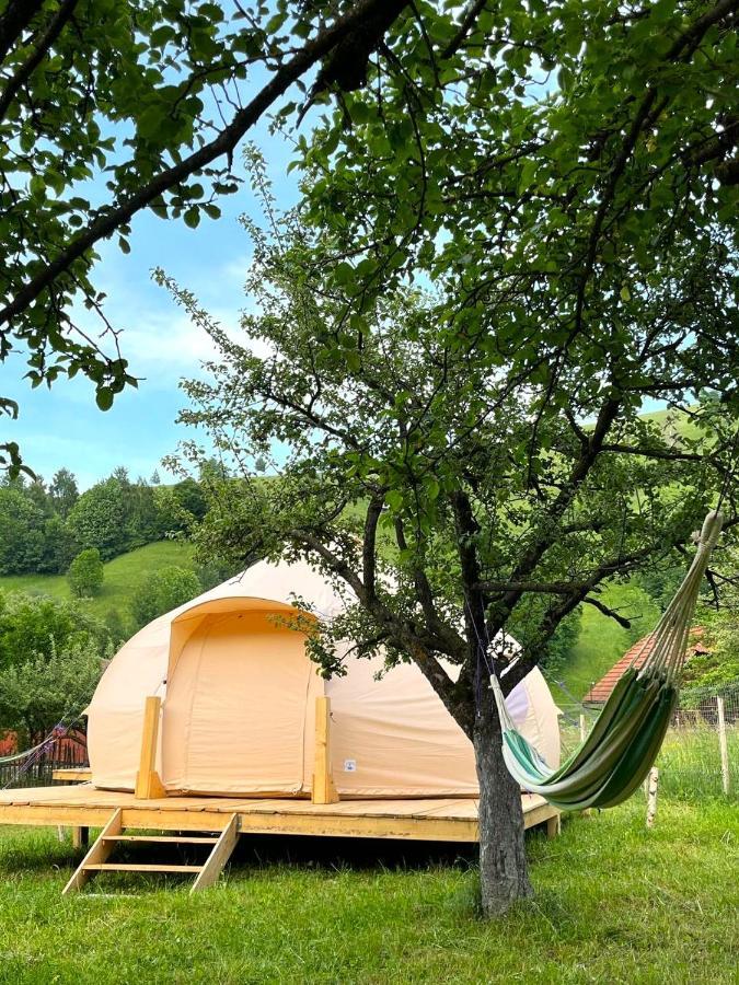 Flore's Garden Glamping Hotell Bran  Exteriör bild