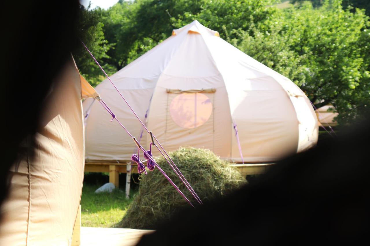 Flore's Garden Glamping Hotell Bran  Exteriör bild