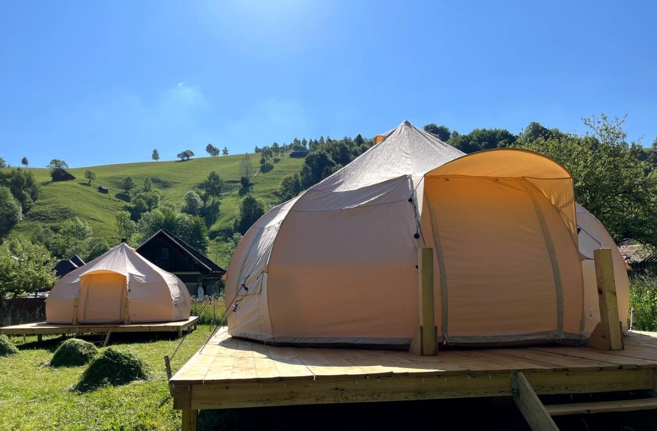 Flore's Garden Glamping Hotell Bran  Exteriör bild