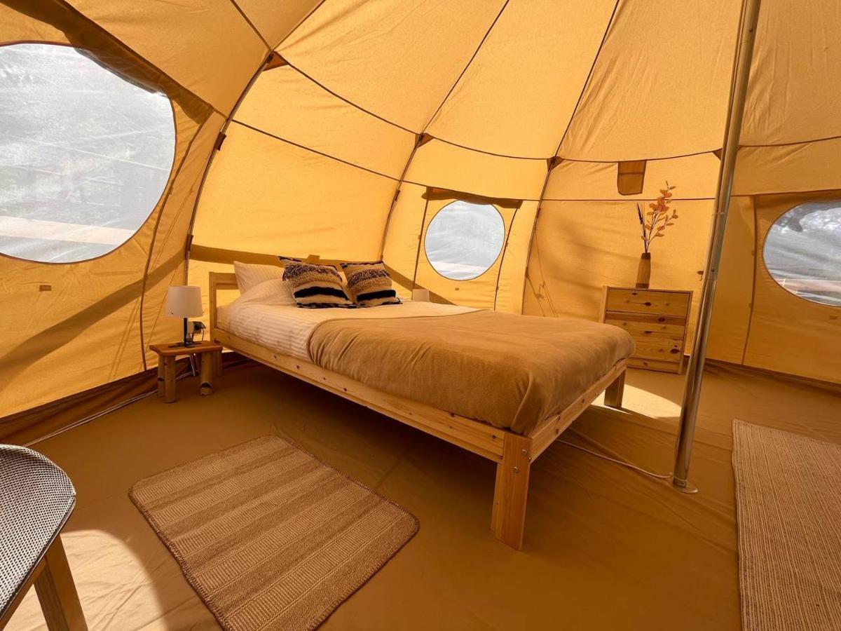 Flore's Garden Glamping Hotell Bran  Exteriör bild