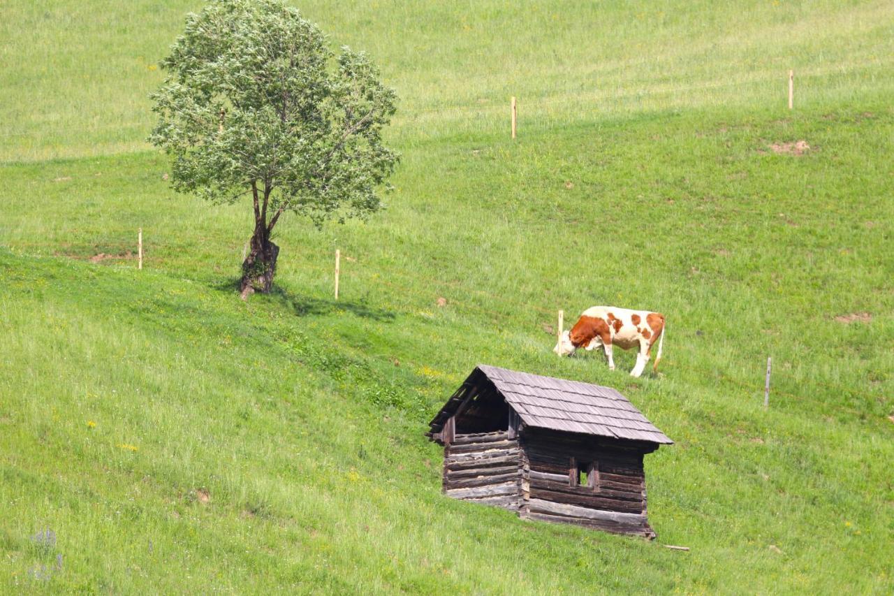 Flore's Garden Glamping Hotell Bran  Exteriör bild