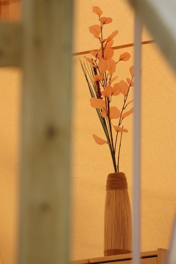 Flore's Garden Glamping Hotell Bran  Exteriör bild