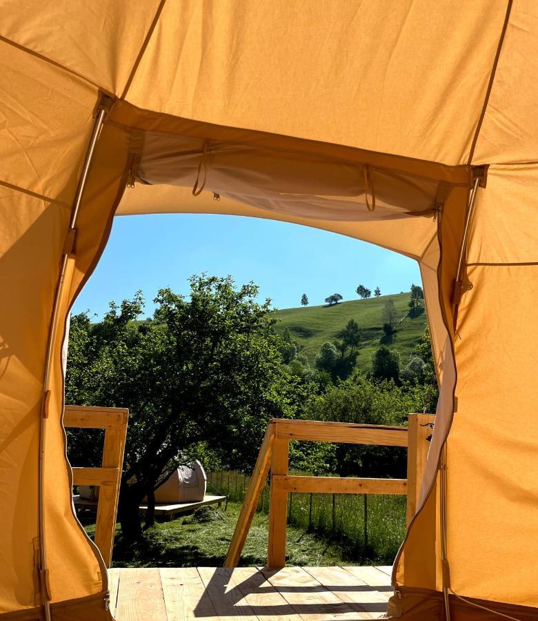 Flore's Garden Glamping Hotell Bran  Exteriör bild