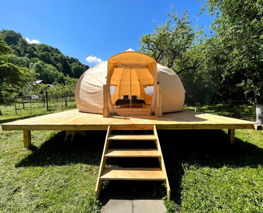 Flore's Garden Glamping Hotell Bran  Exteriör bild