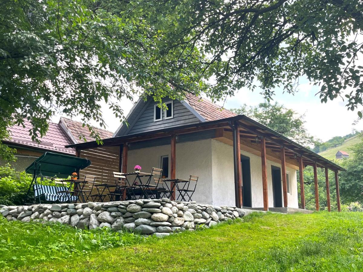 Flore's Garden Glamping Hotell Bran  Exteriör bild