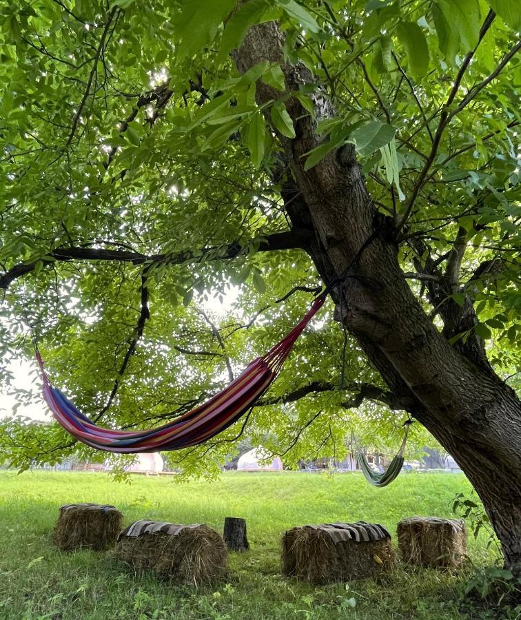 Flore's Garden Glamping Hotell Bran  Exteriör bild