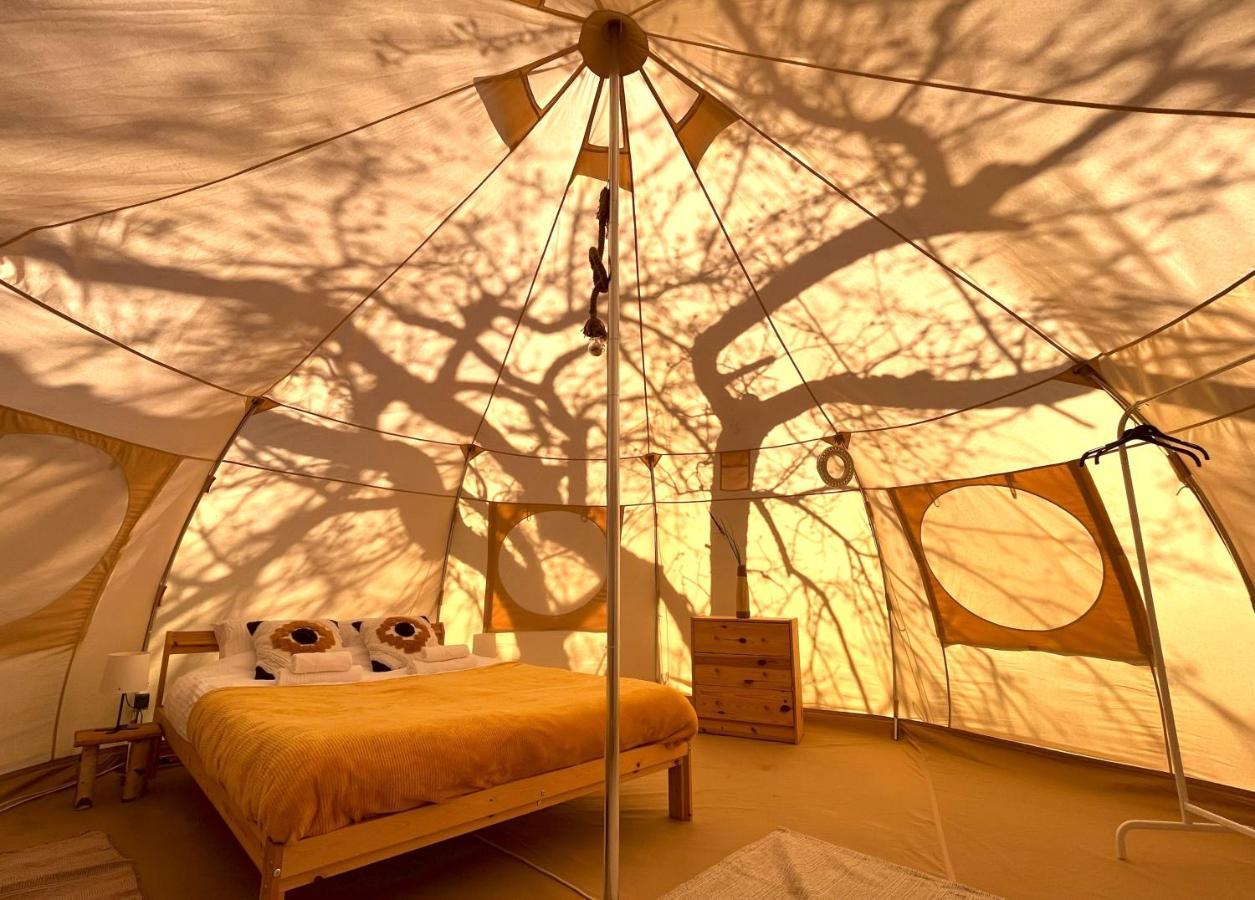 Flore's Garden Glamping Hotell Bran  Exteriör bild