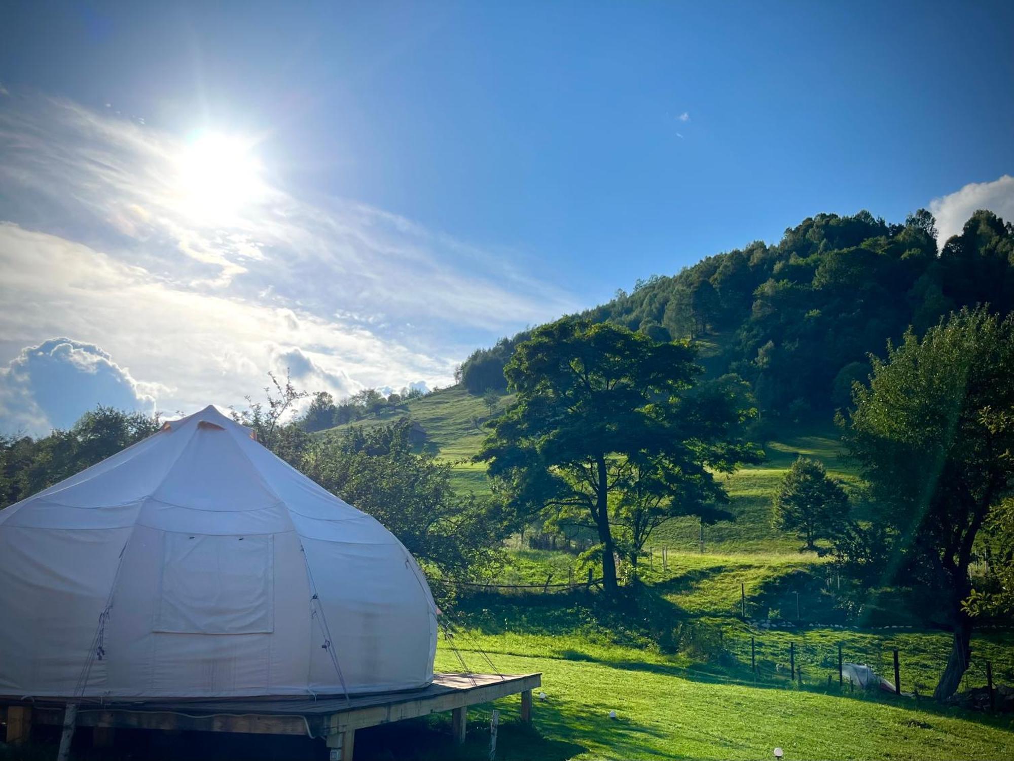 Flore's Garden Glamping Hotell Bran  Exteriör bild