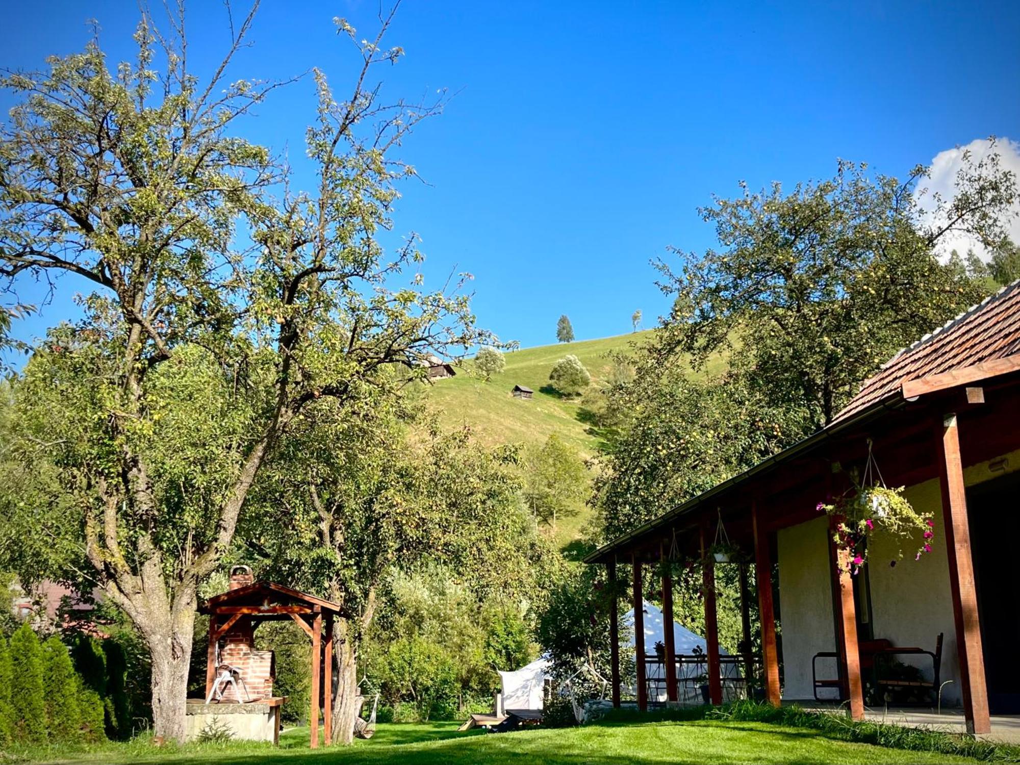 Flore's Garden Glamping Hotell Bran  Exteriör bild