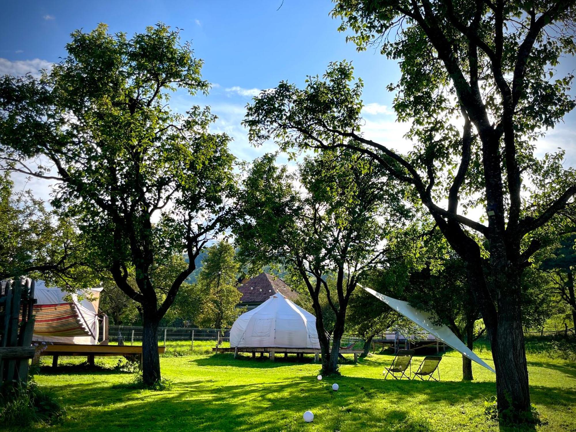 Flore's Garden Glamping Hotell Bran  Exteriör bild