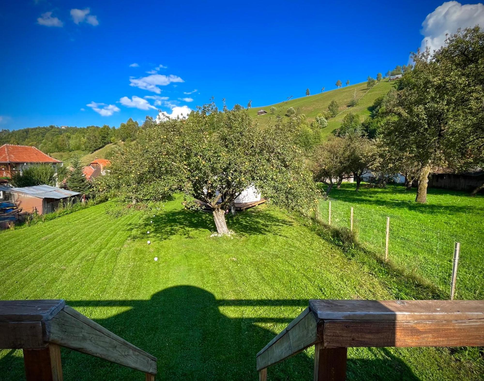 Flore's Garden Glamping Hotell Bran  Exteriör bild